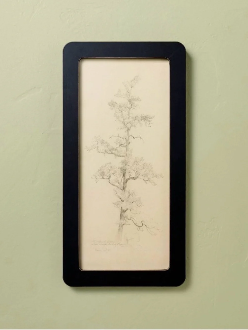 Hearth & Hand by Magnolia Black Framed Tree Sketch Wall Art